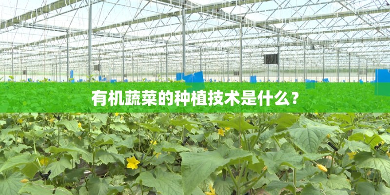 有机蔬菜的种植技术是什么？