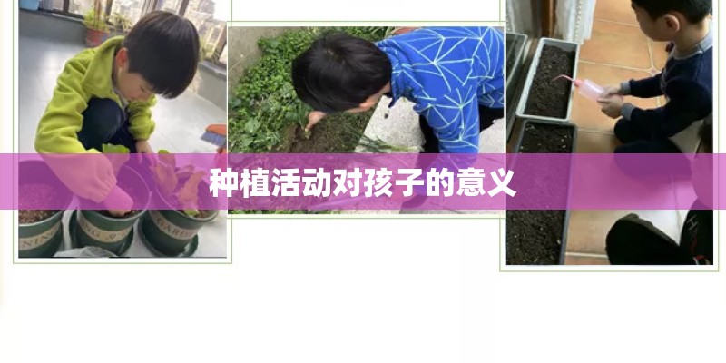 种植活动对孩子的意义