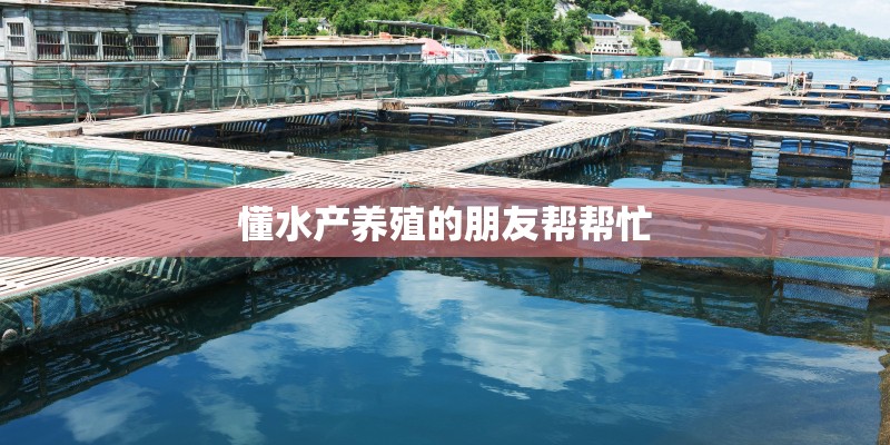 懂水产养殖的朋友帮帮忙