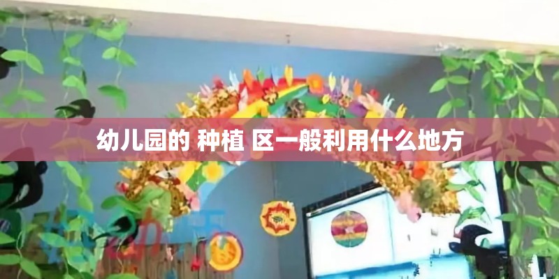 幼儿园的 种植 区一般利用什么地方 幼儿园的 种植 区一般利用什么地方