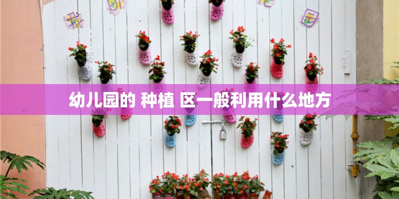 幼儿园的 种植 区一般利用什么地方 幼儿园的 种植 区一般利用什么地方