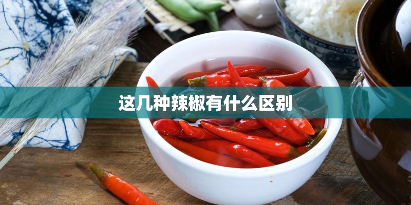 这几种辣椒有什么区别