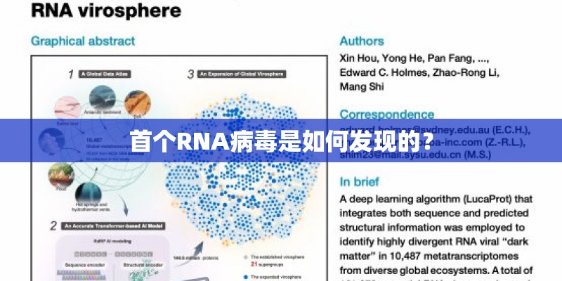首个RNA病毒是如何发现的？