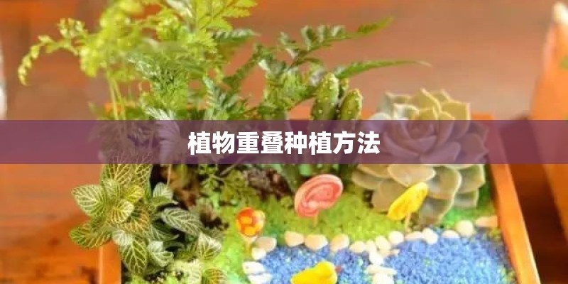 植物重叠种植方法