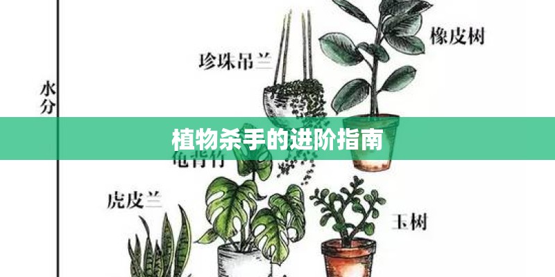 植物杀手的进阶指南