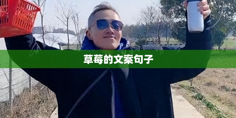草莓的文案句子