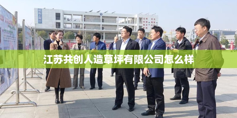 江苏共创人造草坪有限公司怎么样