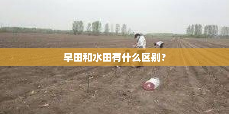 旱田和水田有什么区别？