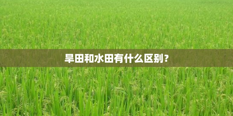 旱田和水田有什么区别？