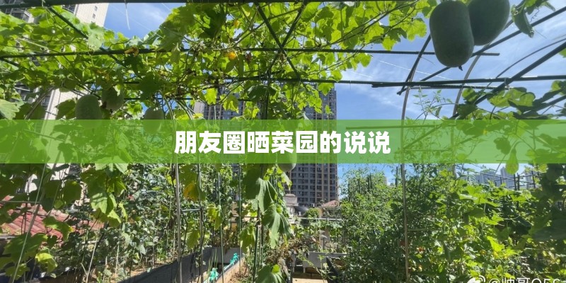 朋友圈晒菜园的说说 朋友圈晒菜园的说说