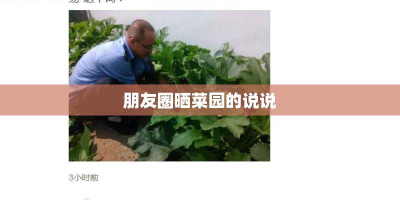 朋友圈晒菜园的说说 朋友圈晒菜园的说说