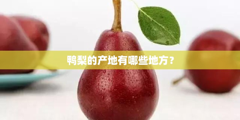 鸭梨的产地有哪些地方？
