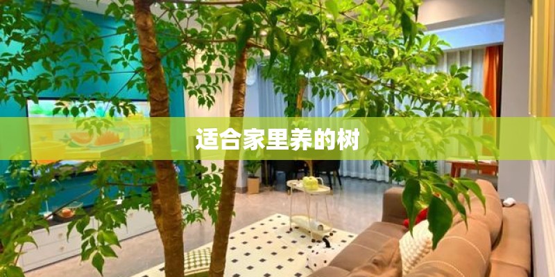 适合家里养的树