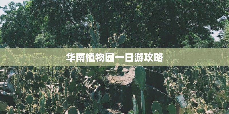 华南植物园一日游攻略