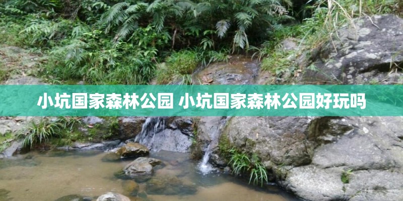 小坑国家森林公园 小坑国家森林公园好玩吗