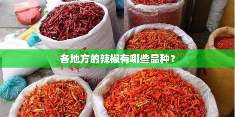 各地方的辣椒有哪些品种？