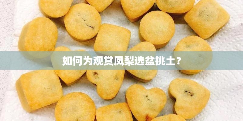 如何为观赏凤梨选盆挑土？