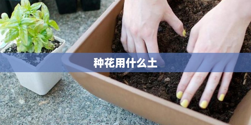 种花用什么土