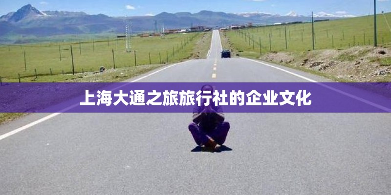 上海大通之旅旅行社的企业文化