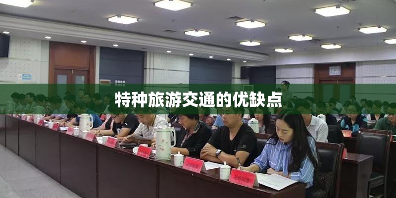 特种旅游交通的优缺点