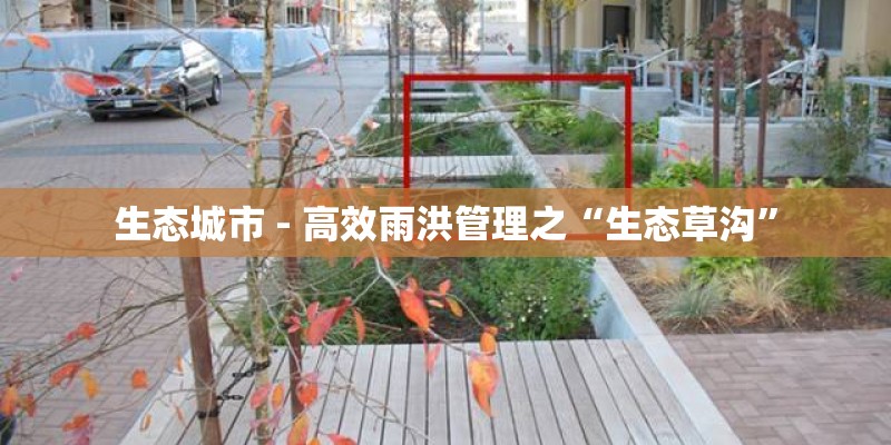 生态城市 - 高效雨洪管理之“生态草沟”
