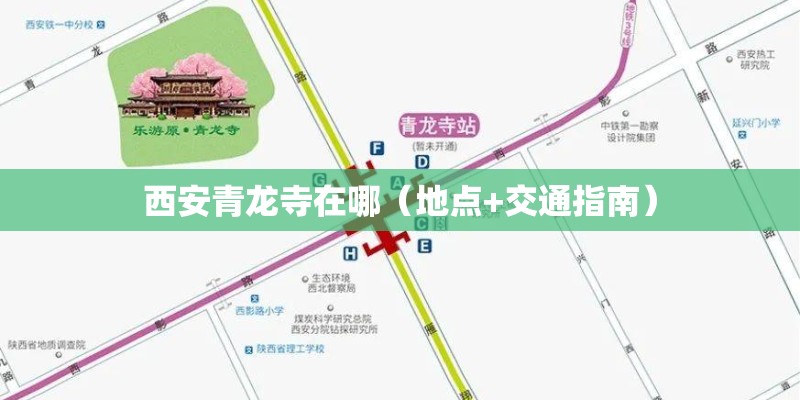 西安青龙寺在哪（地点+交通指南）