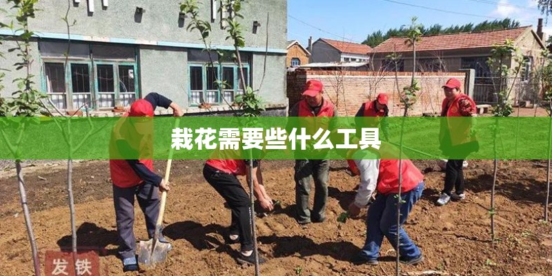 栽花需要些什么工具